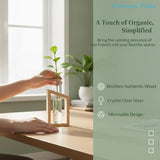 portableTest Tube Glass Propagation Vase Hydroponic Station with Wooden Stand for Herb  Home Decor