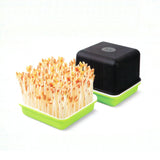 Germination Tray Soilless Hydroponic Seedling Germination Tray Germination Kit Wheat Grass Soybean Green Hydroponic Nursery