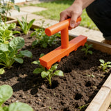 Horticultural perforation seeder for household vegetables and flower seedlings, horticultural seed seeder