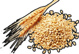 Portable Grain Dryer for Corn Wheat Rice  Automatic Grain Drying Machine with Hot Air Circulation Energy Saving Design