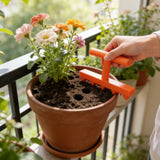 Horticultural perforation seeder for household vegetables and flower seedlings, horticultural seed seeder