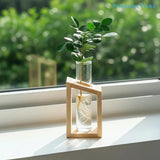 portableTest Tube Glass Propagation Vase Hydroponic Station with Wooden Stand for Herb  Home Decor