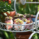 Portable Iron Garden Cart Mobile Plant Stand for Pots and Decor Balcony  Flower Holder Stylish Rolling Storage Rack for Outdoor