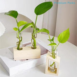 portableTest Tube Glass Propagation Vase Hydroponic Station with Wooden Stand for Herb  Home Decor