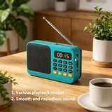 Portable FM Radio Portable Bluetooth Speaker with LED Light support Recording TF Card USB Play Wireless Speaker Radio FM Receive