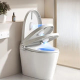 Portable Toilet Sterilizer Lamp USB Rechargeable Safe Mini Toilet Sterilizer Germicidal Shoe Cabinet Home Use