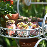 Portable Iron Garden Cart Mobile Plant Stand for Pots and Decor Balcony  Flower Holder Stylish Rolling Storage Rack for Outdoor