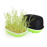 Germination Tray Soilless Hydroponic Seedling Germination Tray Germination Kit Wheat Grass Soybean Green Hydroponic Nursery