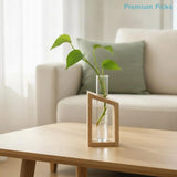 portableTest Tube Glass Propagation Vase Hydroponic Station with Wooden Stand for Herb  Home Decor