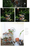 Portable Iron Garden Cart Mobile Plant Stand for Pots and Decor Balcony  Flower Holder Stylish Rolling Storage Rack for Outdoor