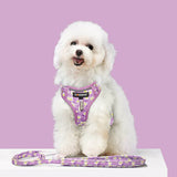 Harness Leash Sets Adjustable Lengths Reflective Design Breathable Mesh Dog Collar