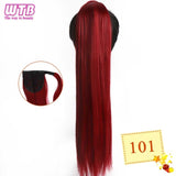 Hair Extension Heat Resistant Synthetic Natural Wave Pony Tail WTB 22" Long Wavy Wrap Around Clip In Ponytail - Presidential Brand (R)